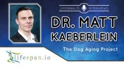 Matt Kaeberlein interview