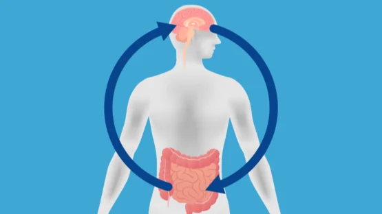 gut brain axis diagram