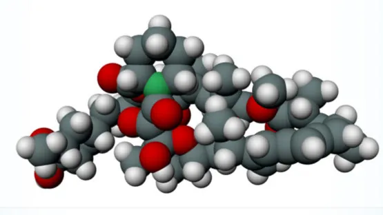 Rapamycin