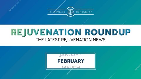 Rejuvenation Roundup February