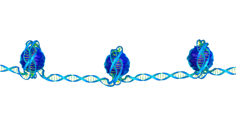 epigenetic-wrapping.jpg