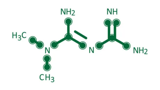 Metformin structure