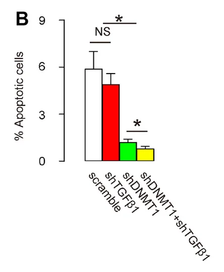 Graph showing effects of AAVs on disc degeneration