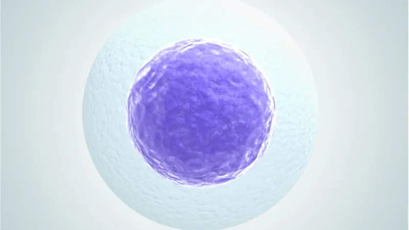 Egg cell