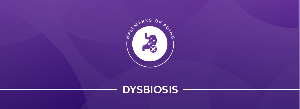 Dybiosis banner.