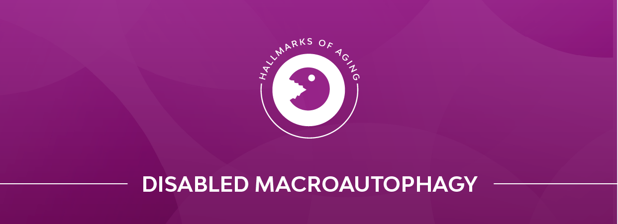 Disabled macroautophagy banner.