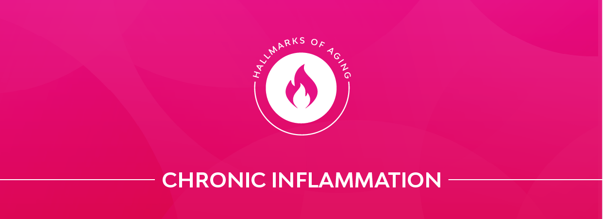 Chronic inflammation banner.