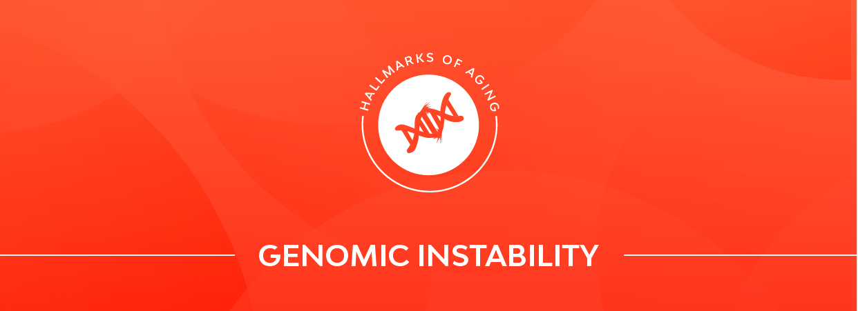 Genomic instability banner