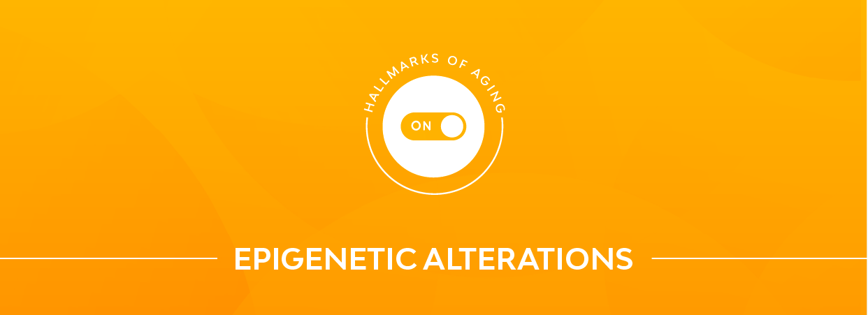 Epigenetic alterations banner.