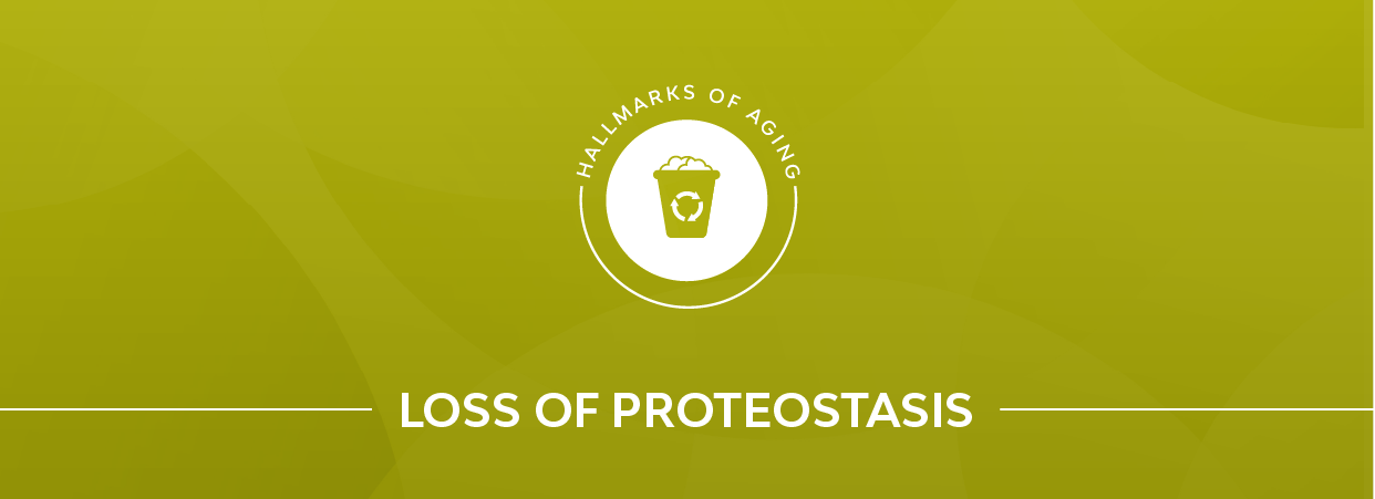 Loss of proteostasis banner.