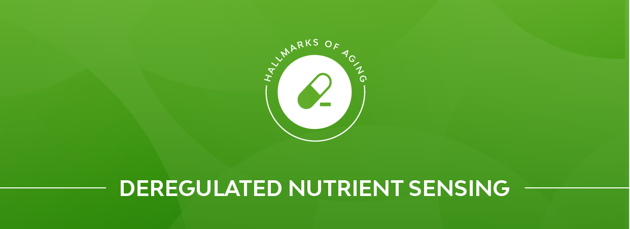 Deregulated nutrient sensing banner.