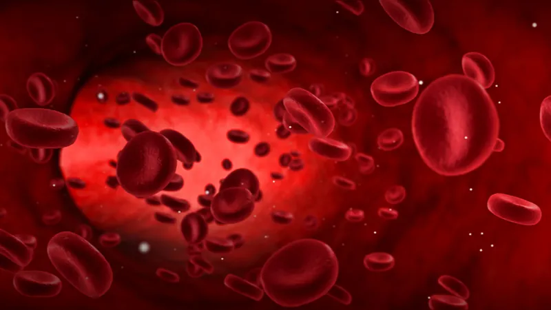 Blood cells