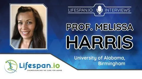 Interview image for Prof. Melissa Harris