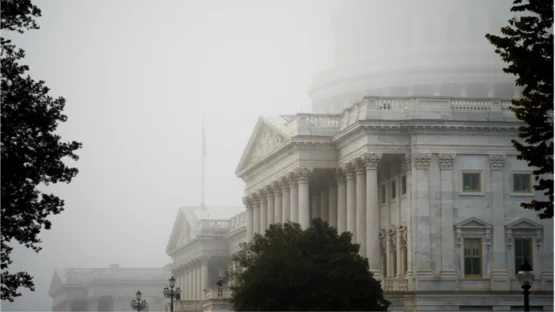 The senate building.