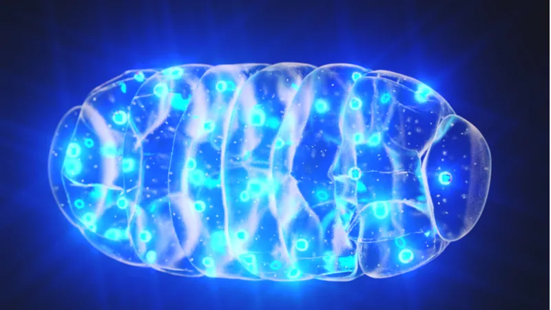 Mitochondrion