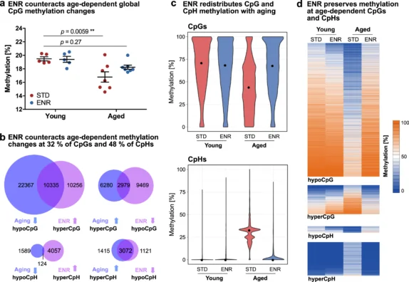 Methylation profiles