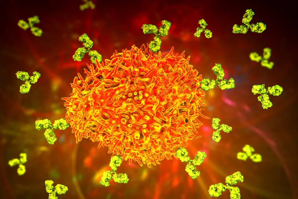 B Cells are the source of antibodies in our immune system.