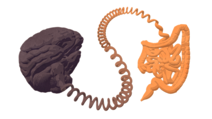 Gut Brain Connection