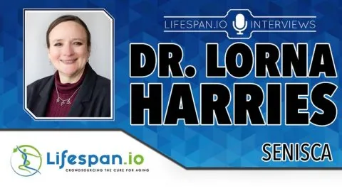 Lorna Harries Interview