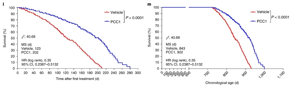 Lifespan of mice on a senomorphic compound