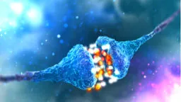 Synaptic Transmission