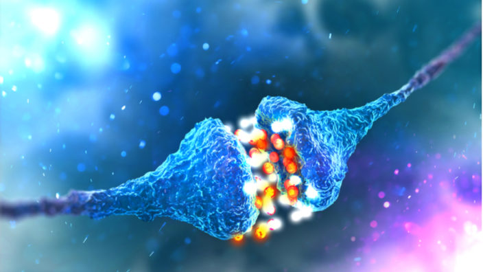 Synaptic Transmission