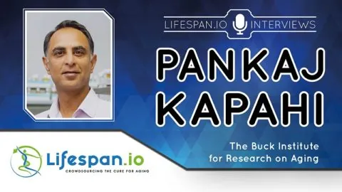 Pankaj Kapahi Interview