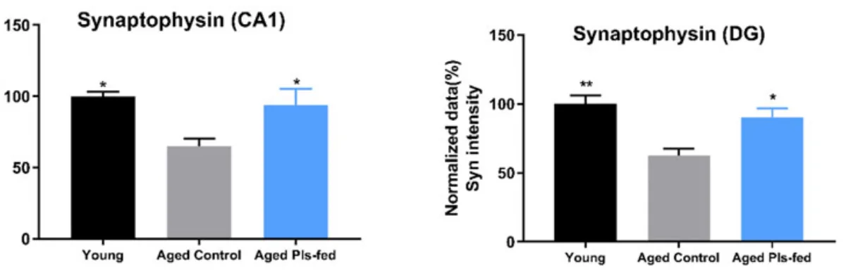 Plasmalogens 2