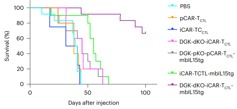 Modified CAR-T Survival