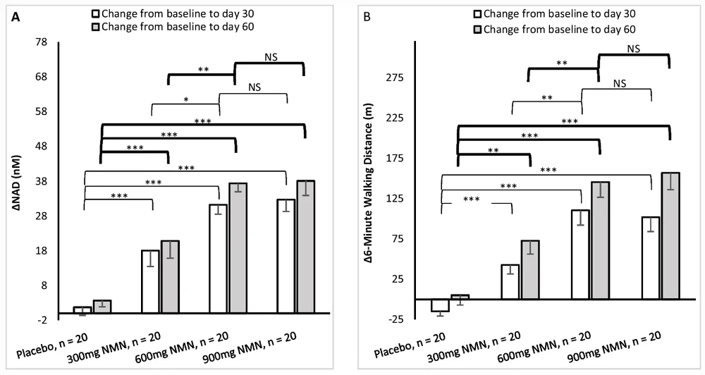 NMN human study 1