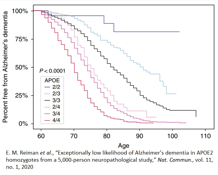 ApoE Alzheimer's 6