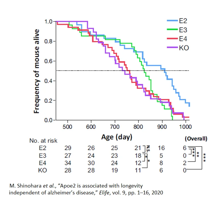 ApoE Alzheimer's 8