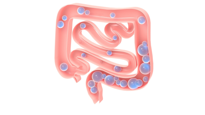 Intestinal molecules