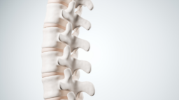 Lumbar spine