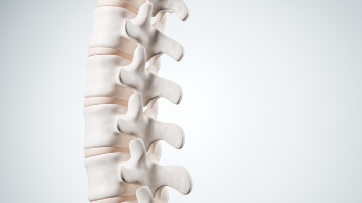 Lumbar spine