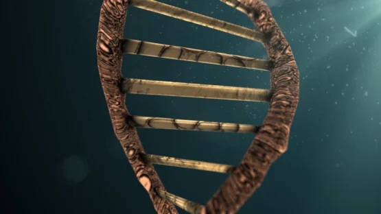 Damaged DNA