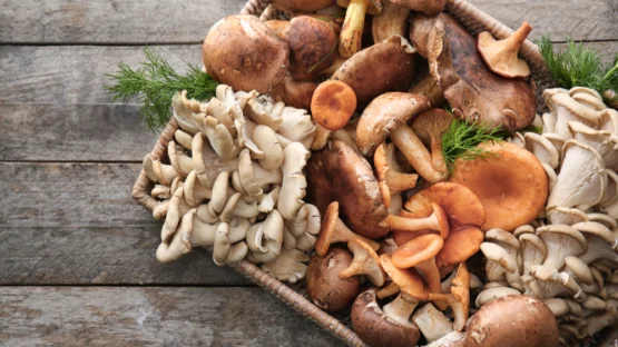 Edible mushrooms