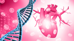 Heart DNA