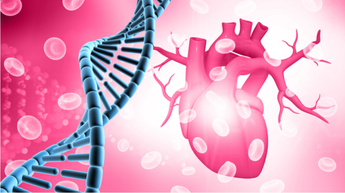 Heart DNA