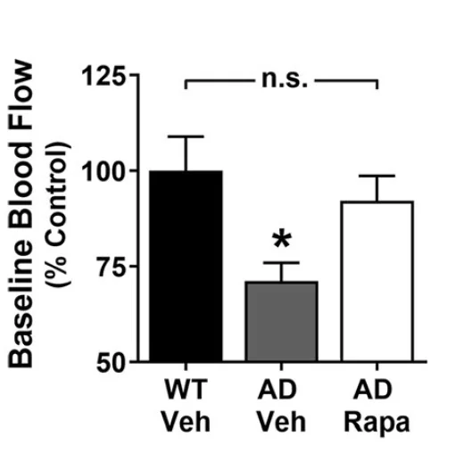 Rapamycin PAD 3