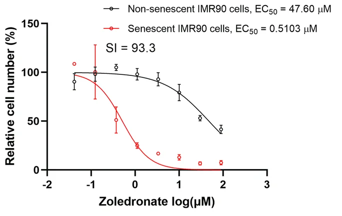 Zoledronate senolytic