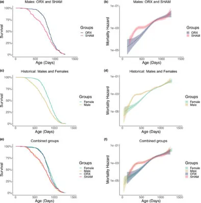 Castration Mouse Lifespan