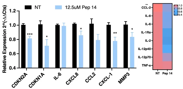 Pep 14