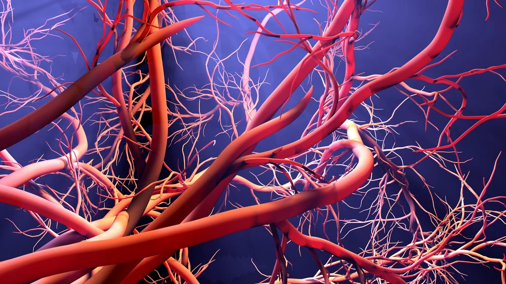 Angiogenesis