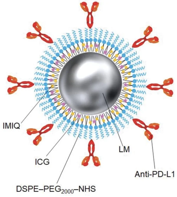 Gallum Nanoparticle