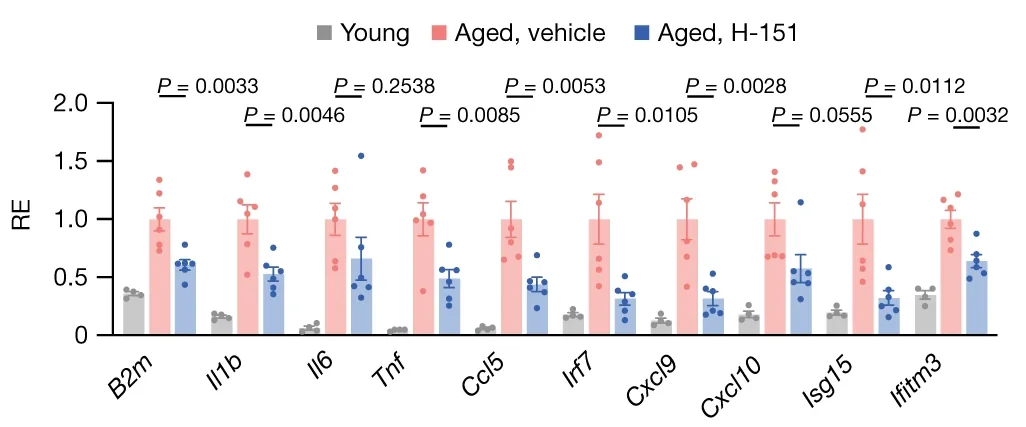 STING Gene Expression