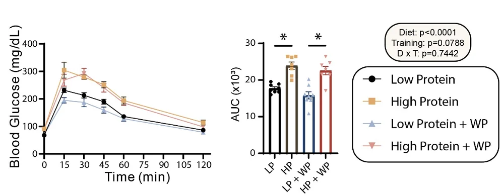 High protein glucose