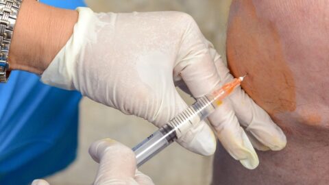 Stem Cells for the Knee