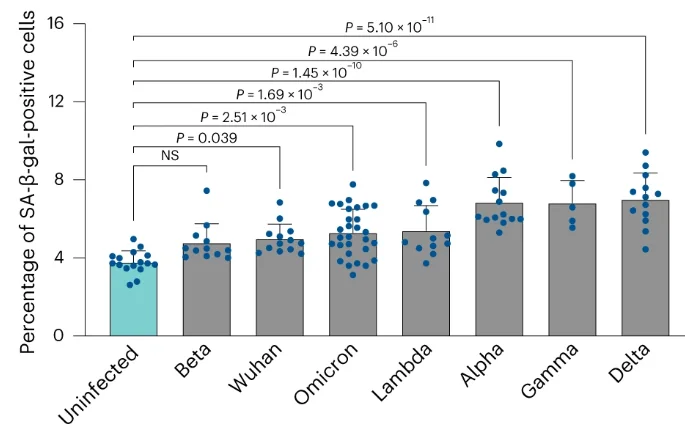 COVID variants senescence