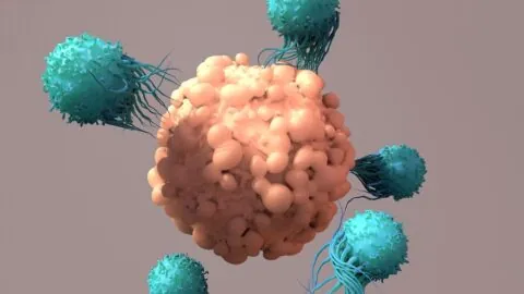 CAR T Cells